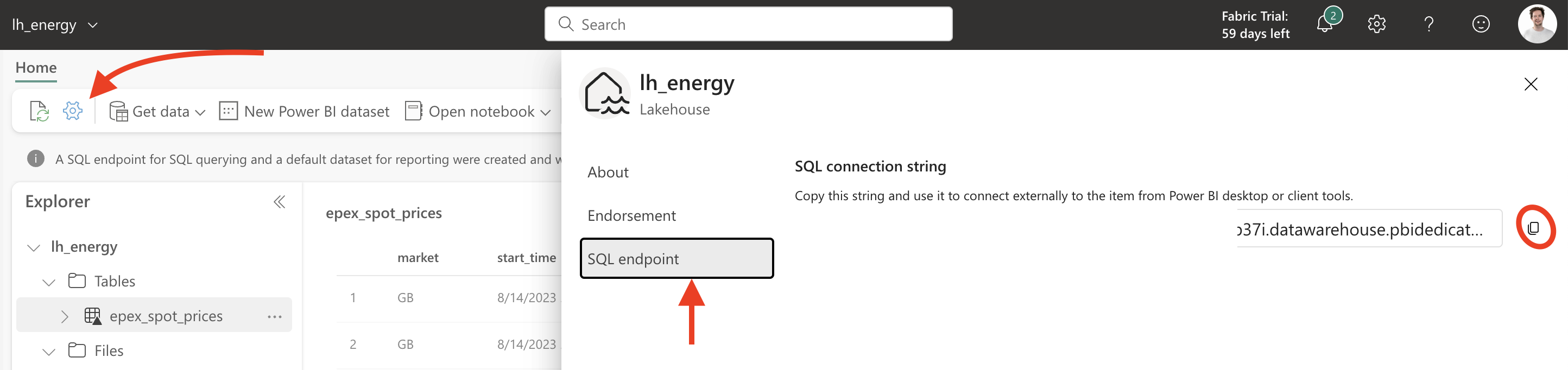 The SQL endpoint in the Fabric UI