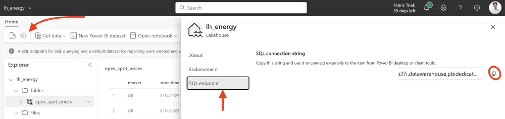 The SQL endpoint in the Fabric UI